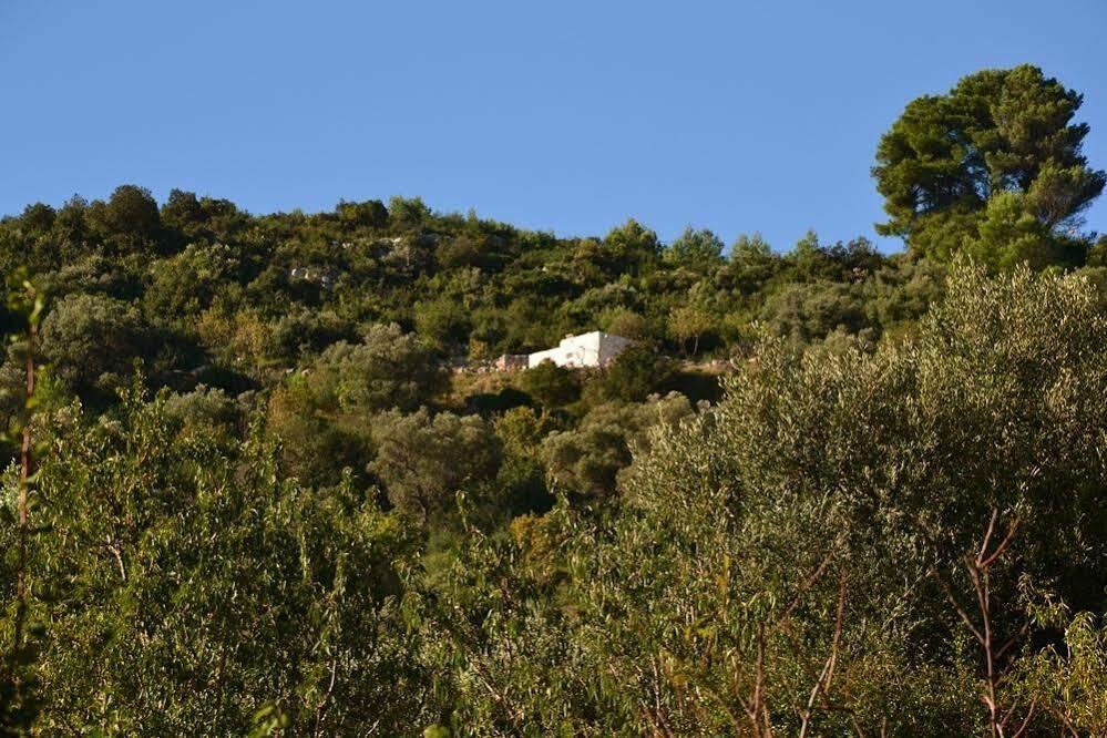 La Lamia 1864 By Rentbeat Apartment Ostuni Ngoại thất bức ảnh